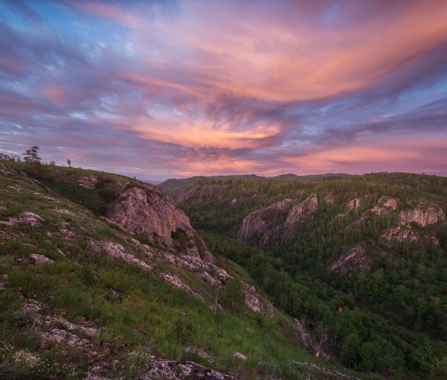 , Алексей Проняхин