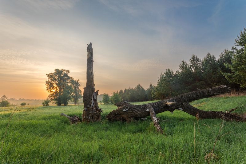 Не сломлен фото превью