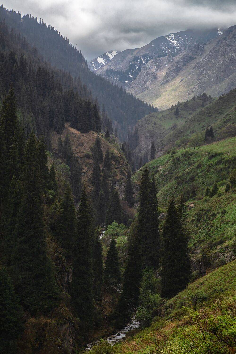 кыргызстан,, Элина Магалимова