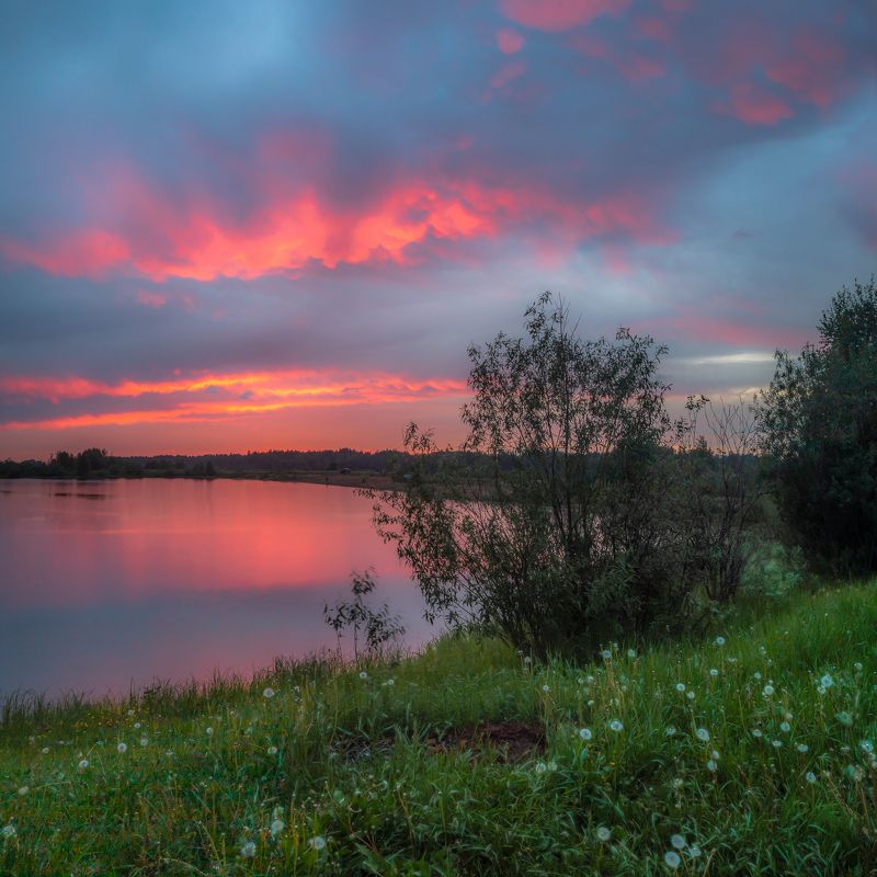 вечер, тепло, водоем, вода, озеро, пруд, трава, поле, пляж, берег, лето, закат, тучи, солнце, облака, дождь, куст, цветы, отражения, горизонт Вечер фото превью