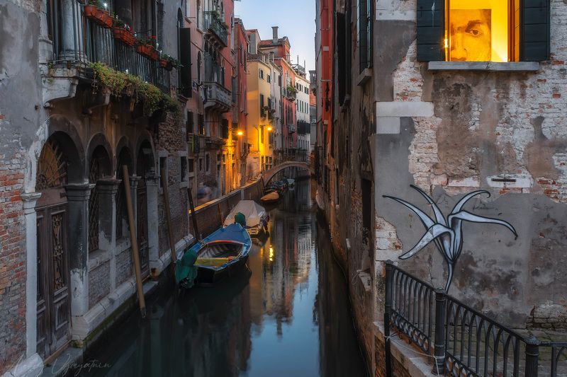 italy, venice, night, urban, outdoor, cityscape, boats, channels, water, old city The flower фото превью