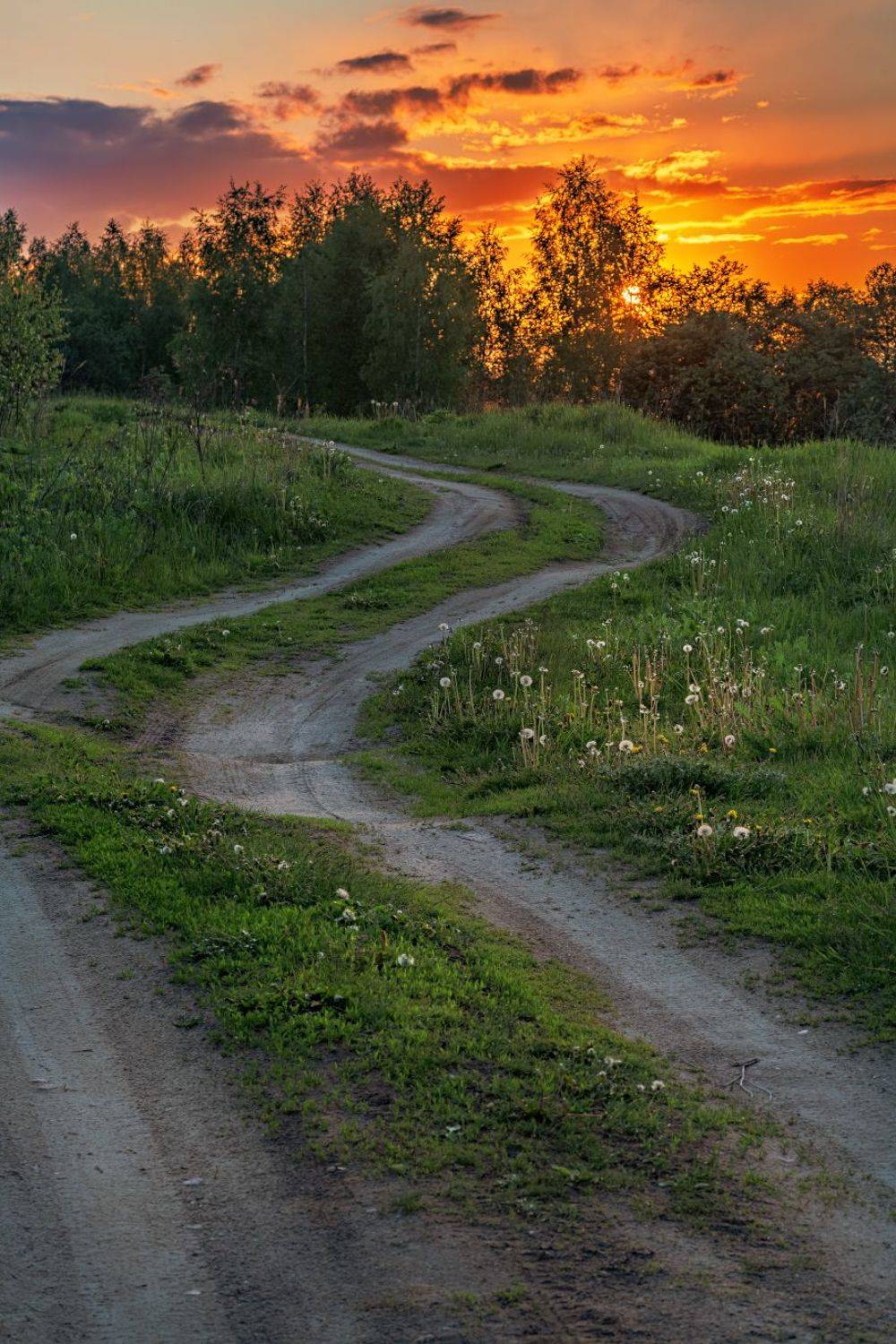 , Евгений Ерохин