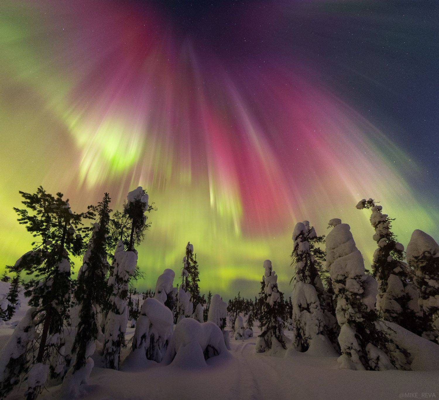 , Михаил Рева