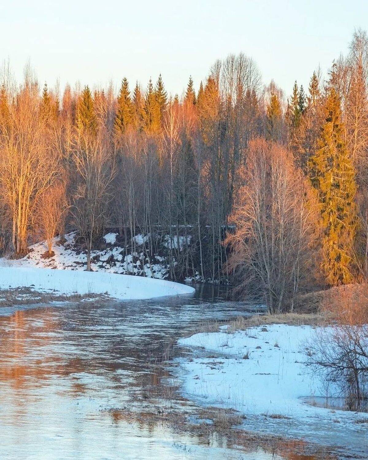 , Петр Косых