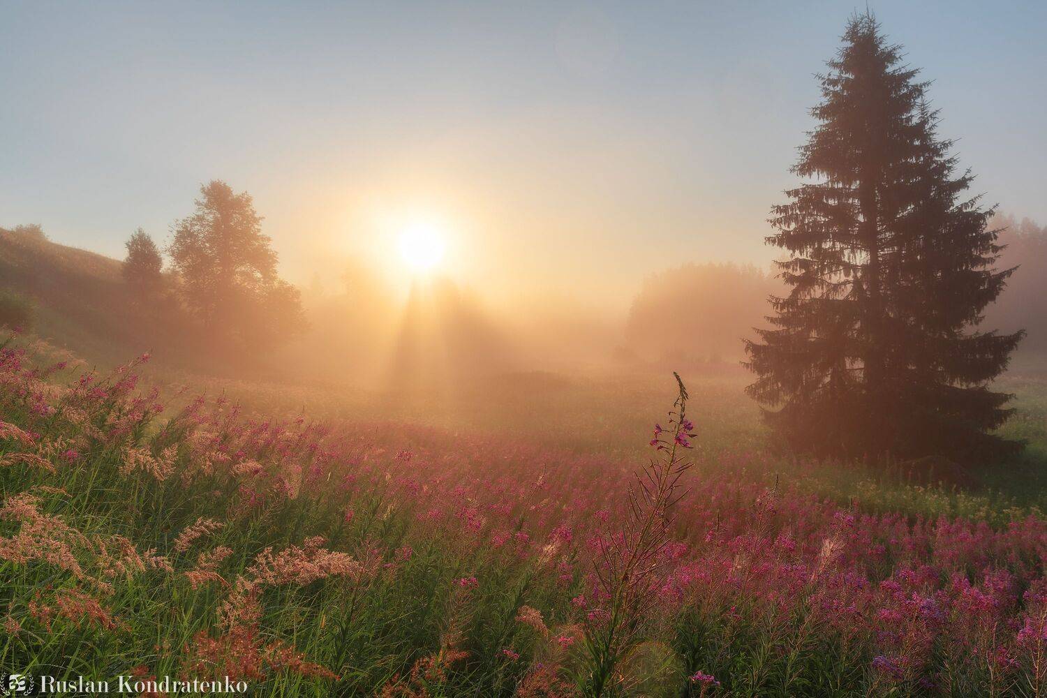 река, рассвет, лемовжа, закат, Кондратенко Руслан