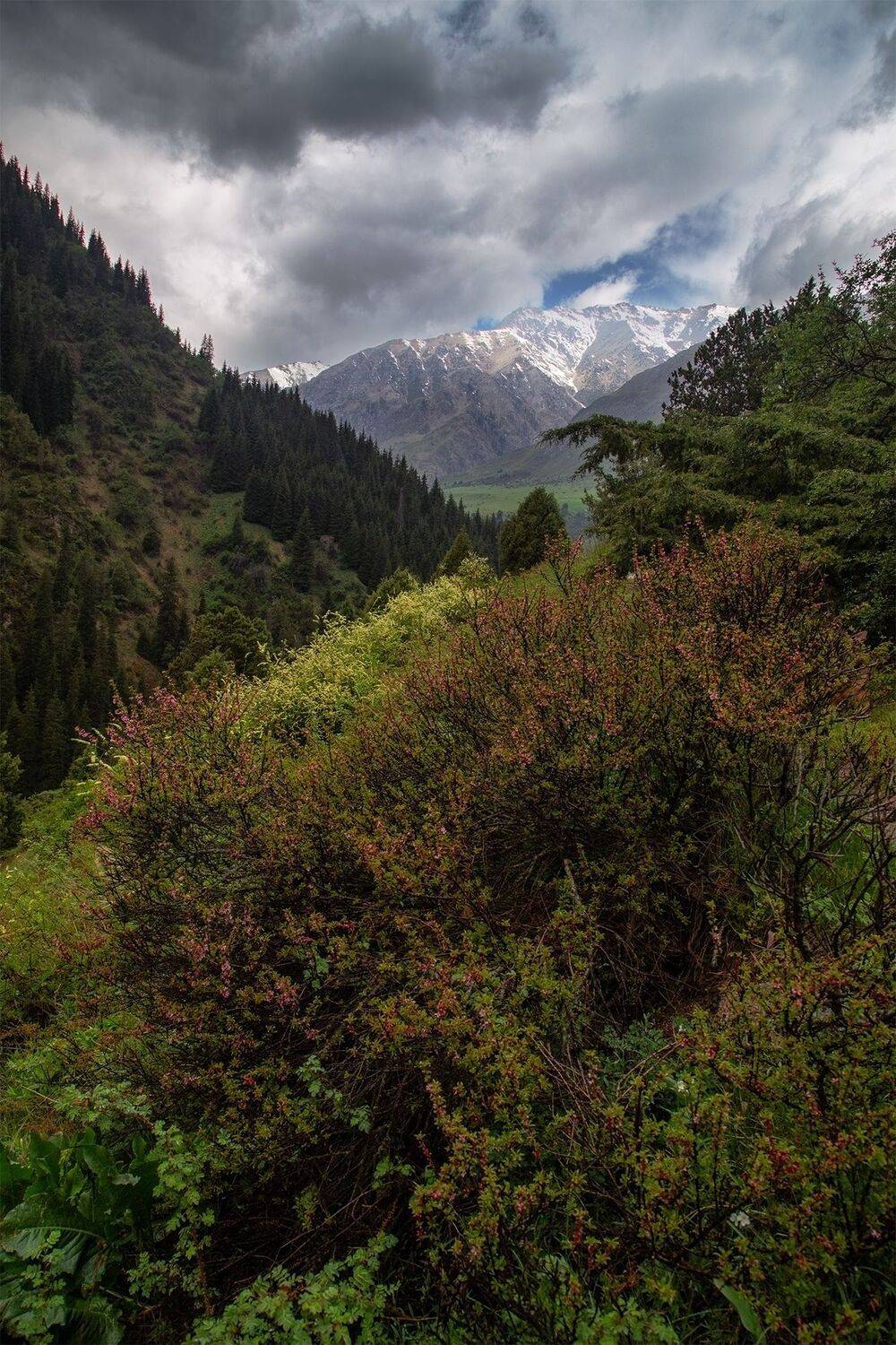 кыргызстан, туюк, Элина Магалимова