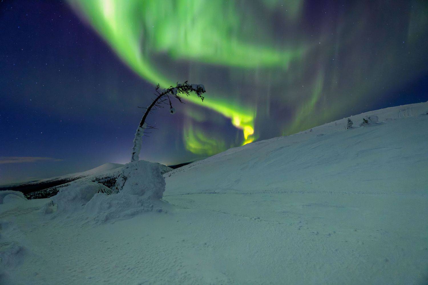 AuroraBorealis, Jose Pedrero Barrios