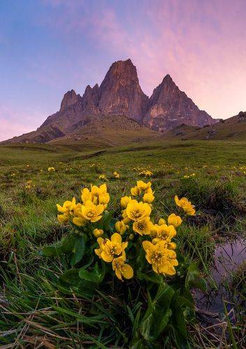 Весна в Ингушетии