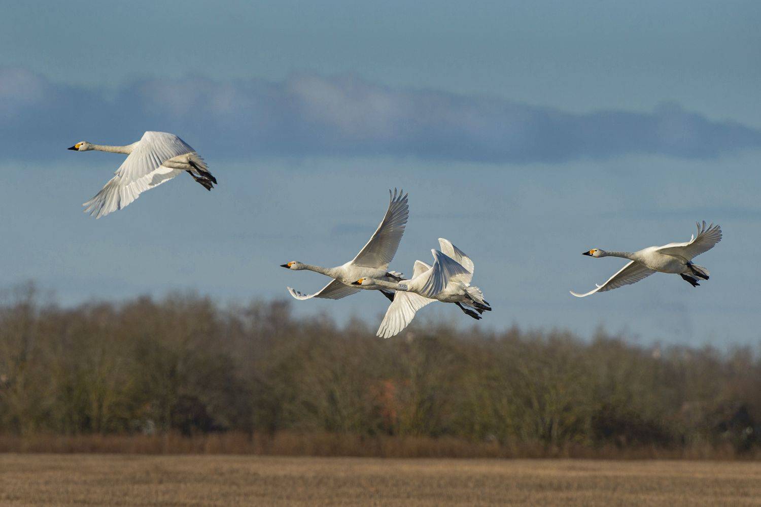 , Кулаков Юрий