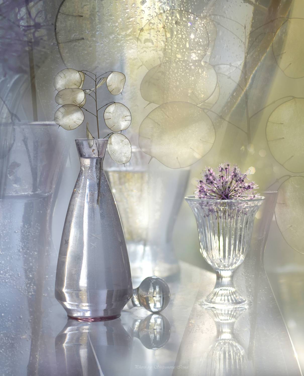 , Ирина Шипунова