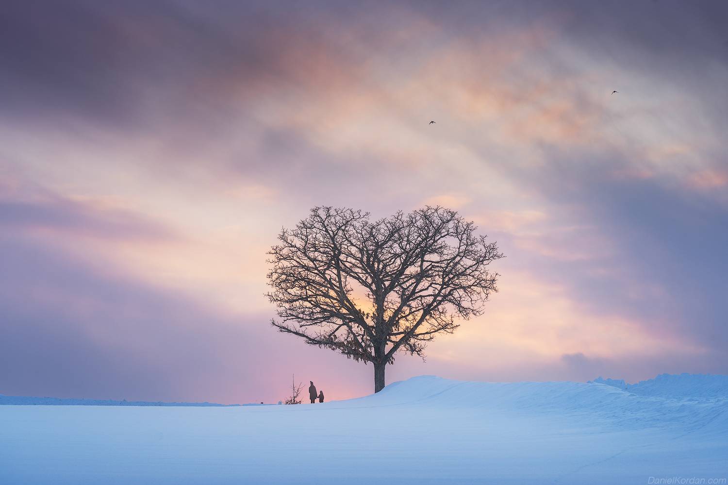 , Даниил Коржонов