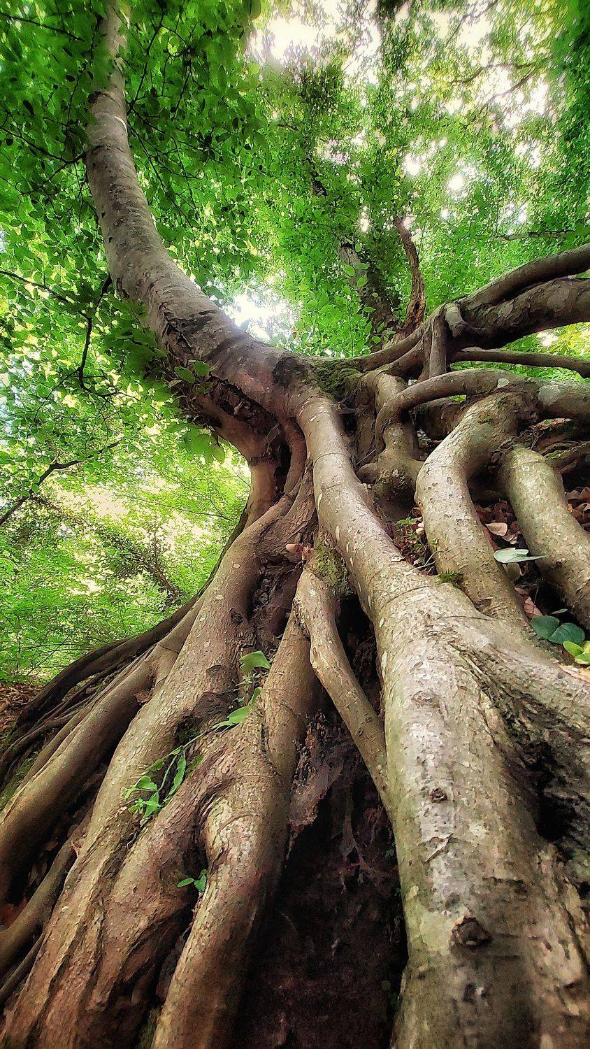 , Сагайдак Павел