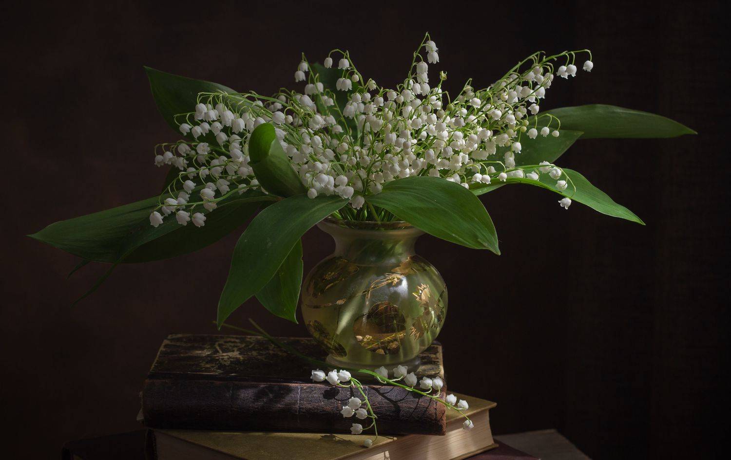 , Хвойнова Елена