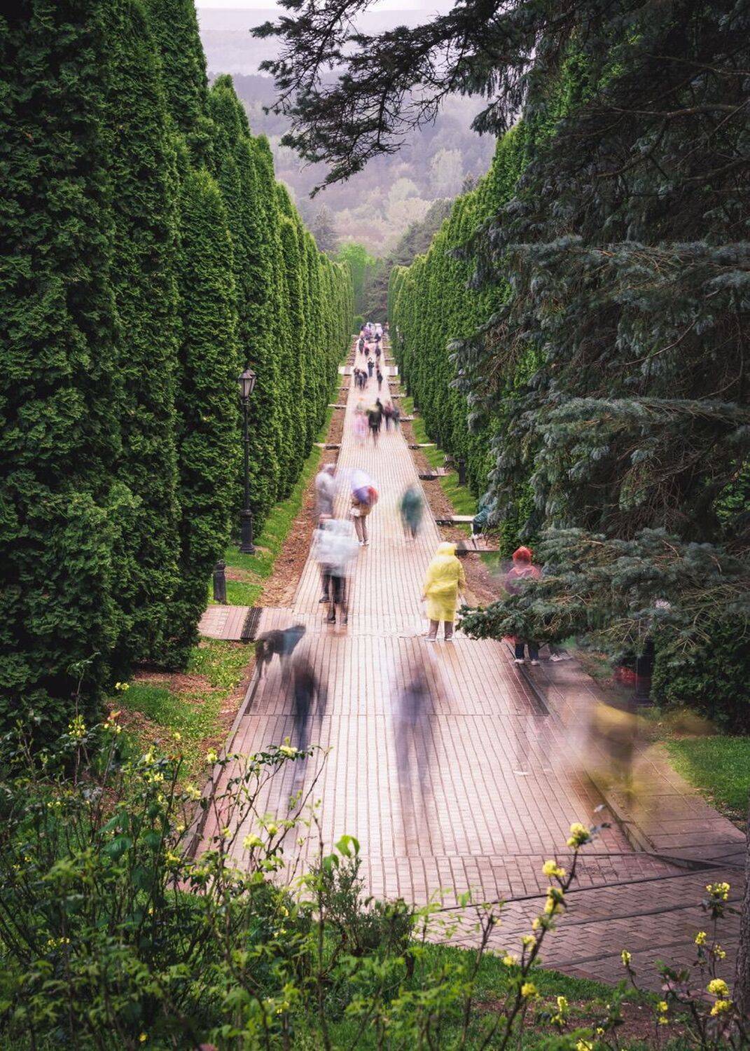 , Евгений Важенин