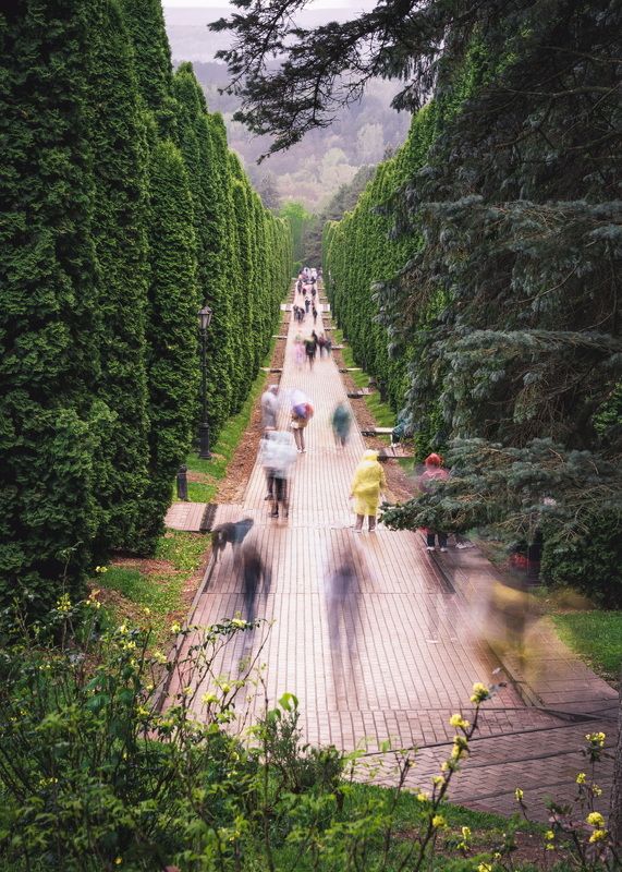 Парк…  Park… фото превью