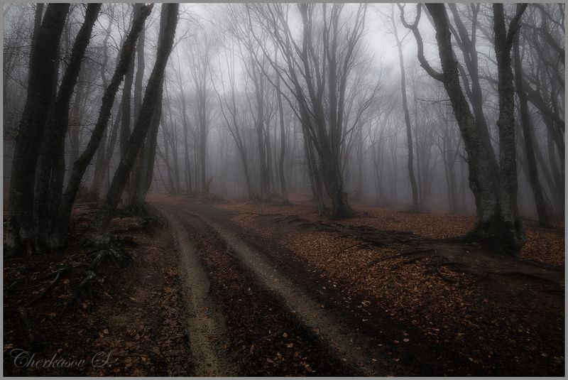 крым, туман, ангарский перевал, На Ангарском перевале фото превью