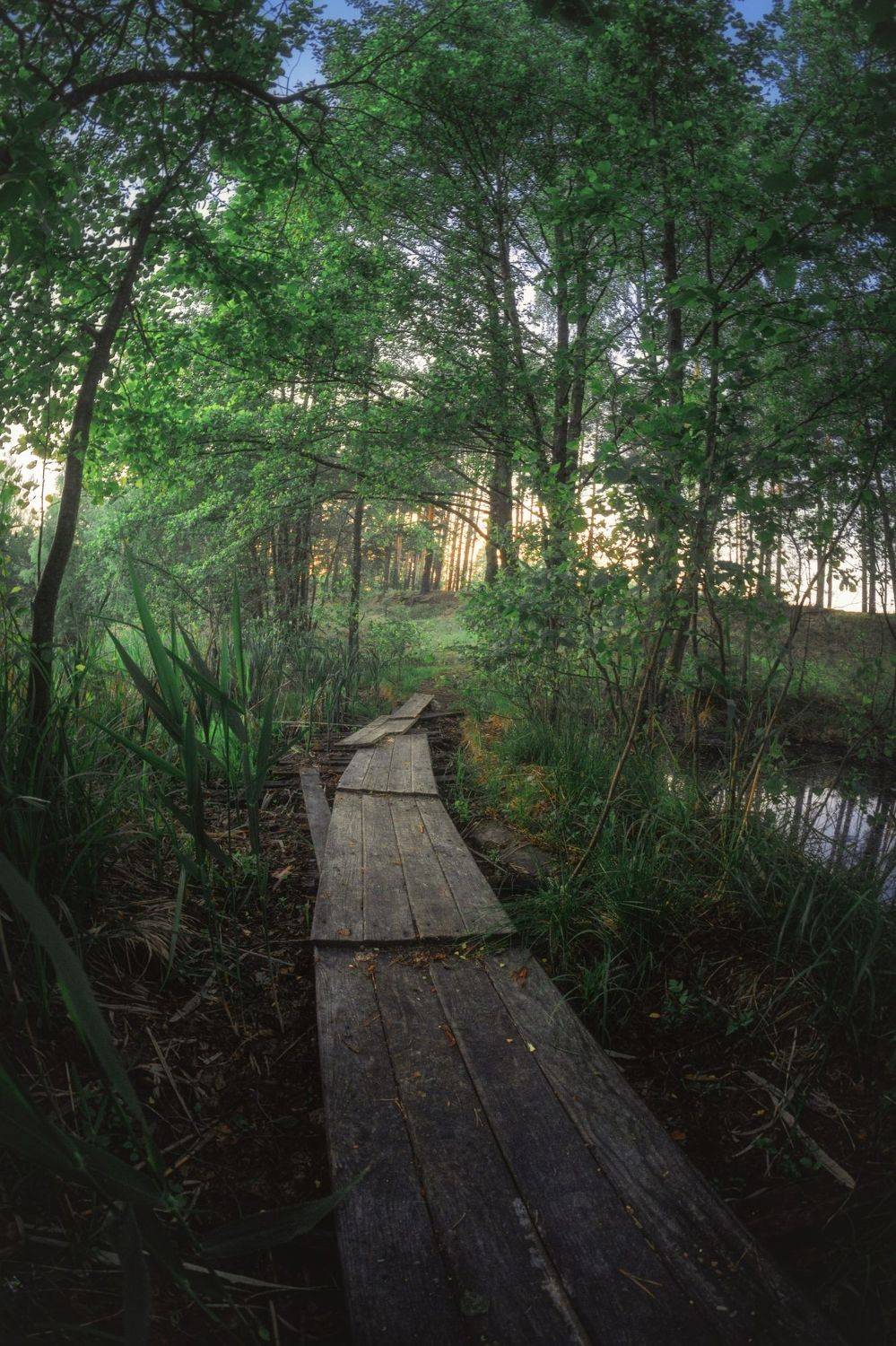 , Котов Андрей