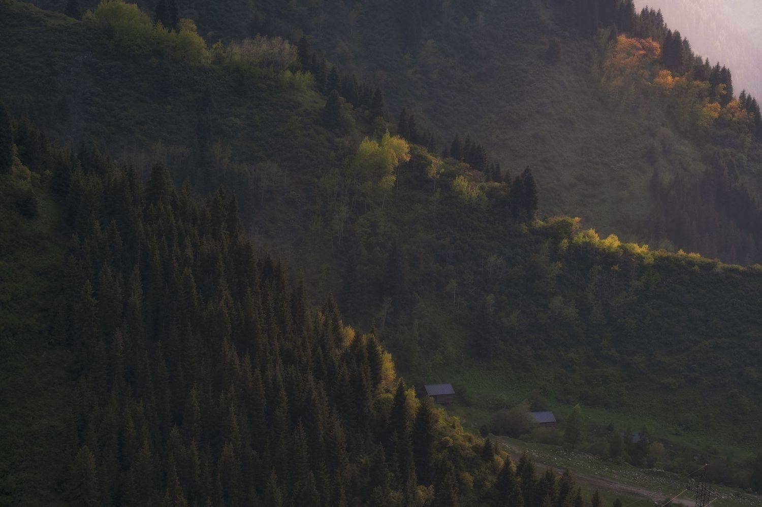 , Светлана Краюшкина