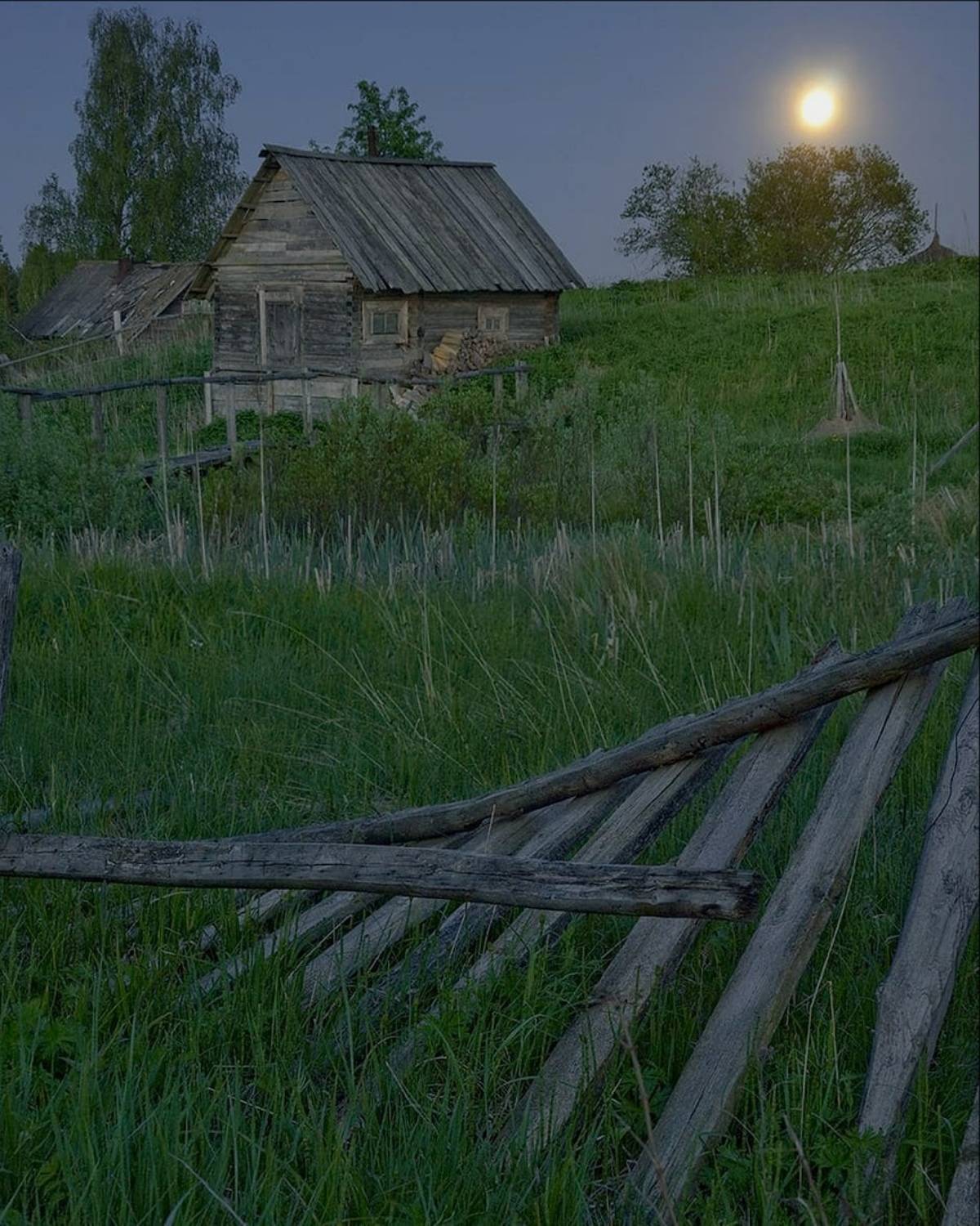 , Петр Косых