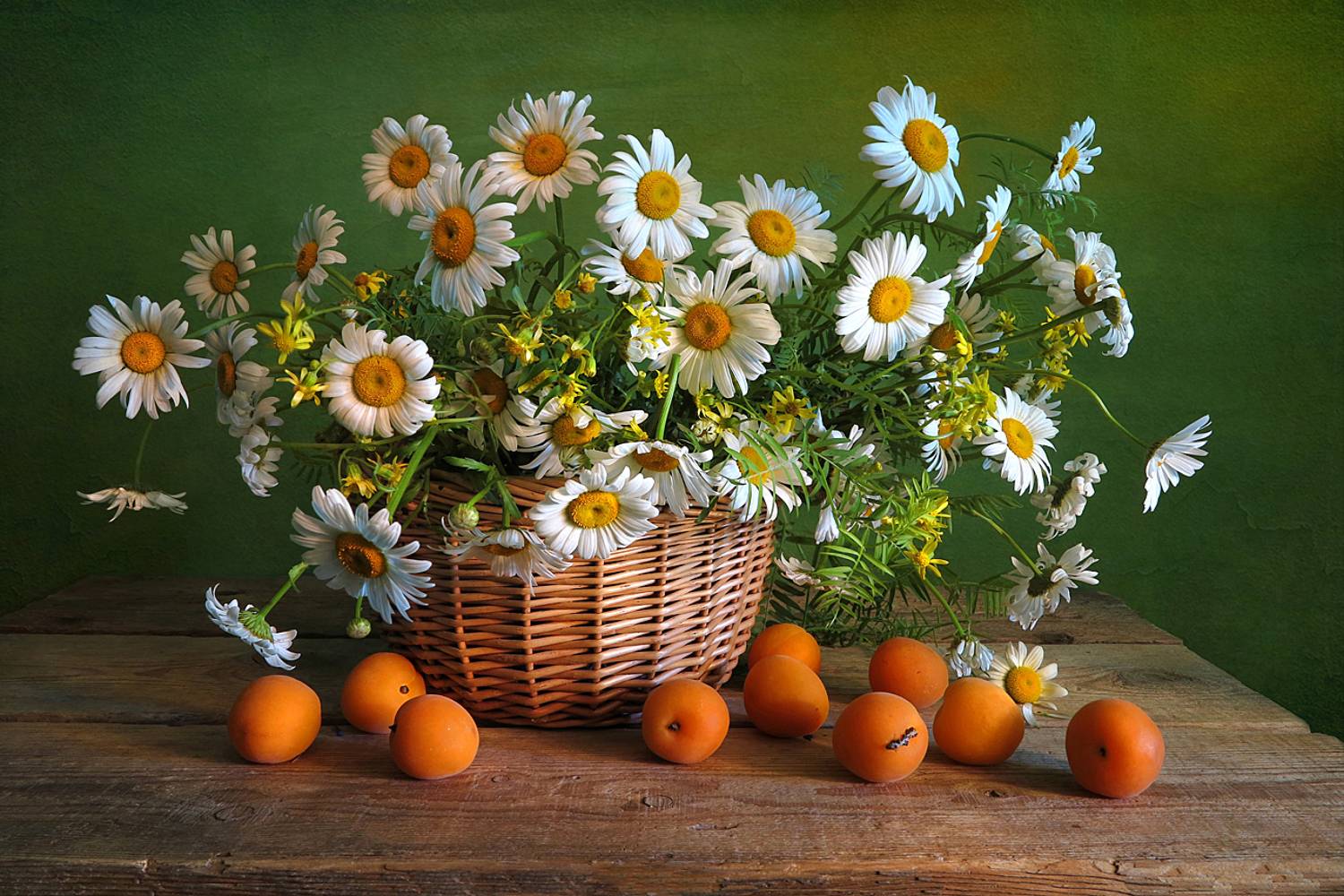 натюрморт,лето,ромашки,абрикосы,корзина, Алла Шевченко