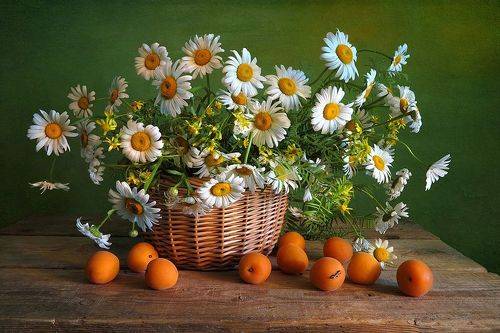 С первым днем лета!