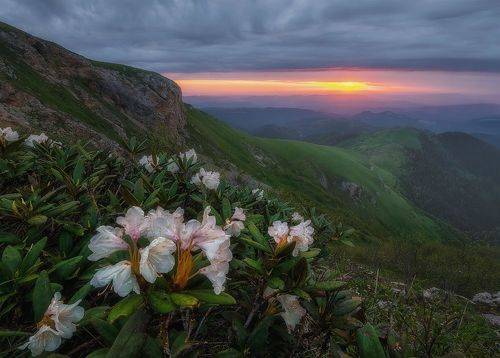 Рассвет на г.Асбестная