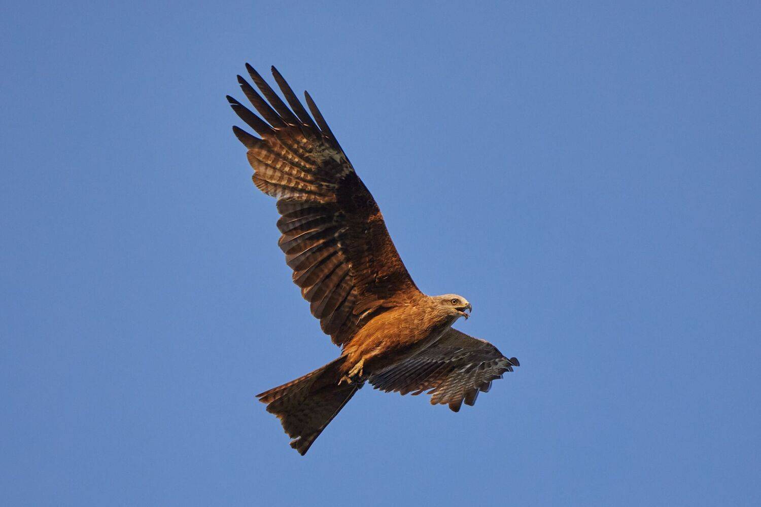 , Гильманов Артур