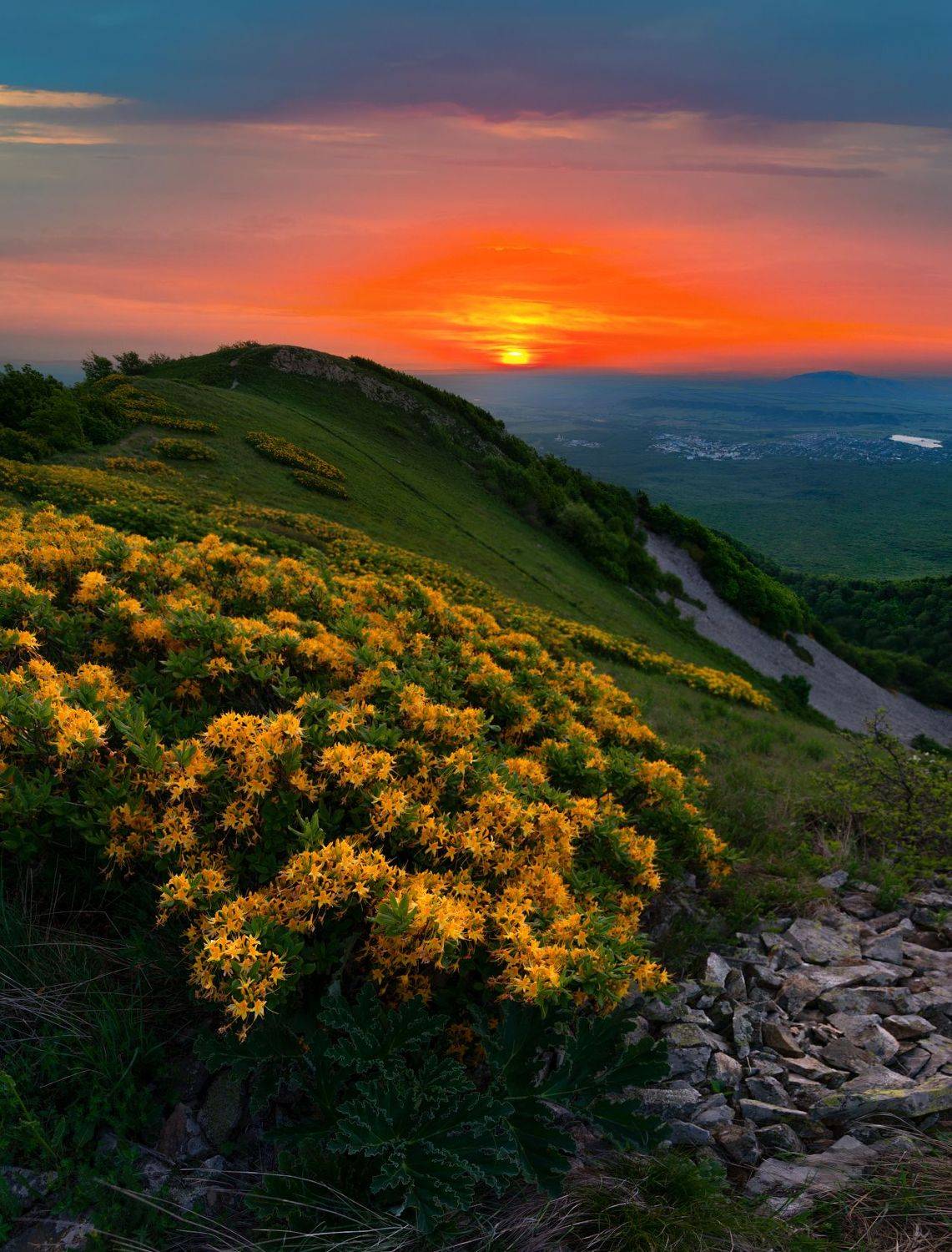 бештау,рассвет,азалия понтийская,кмв,природа,пейзаж, Елена Брежицкая