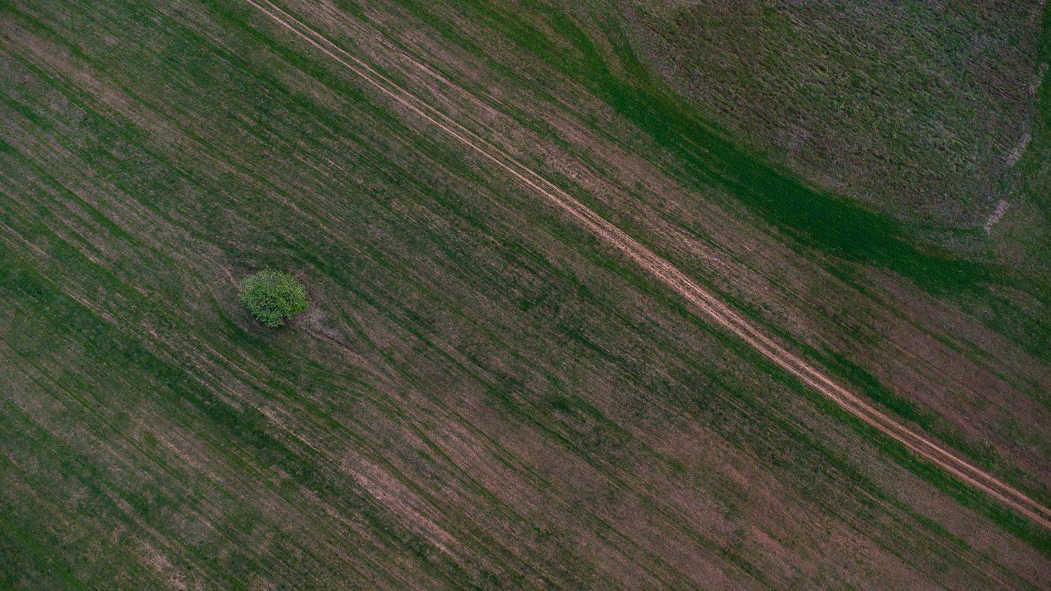 , Шуплецов Алексей