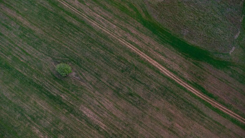 Поле. фото превью