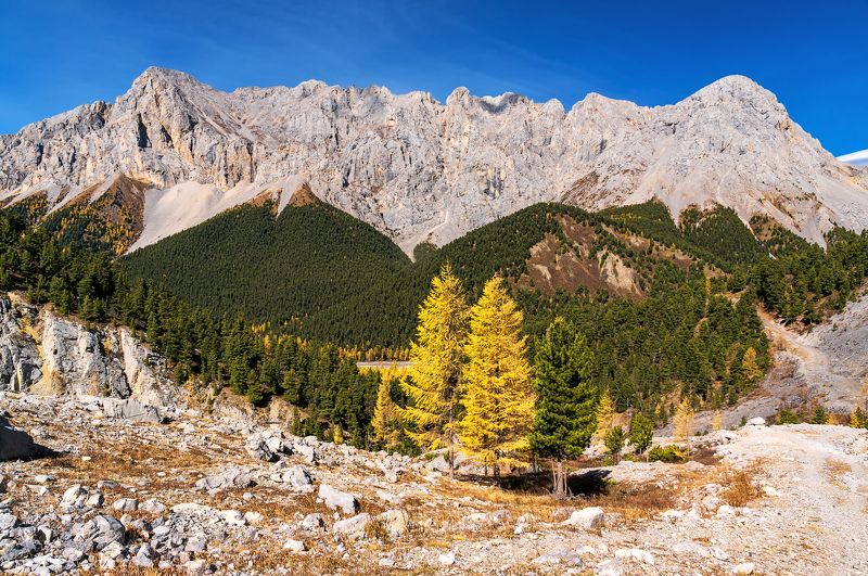 монголия, осень Хорьдолын-гол фото превью