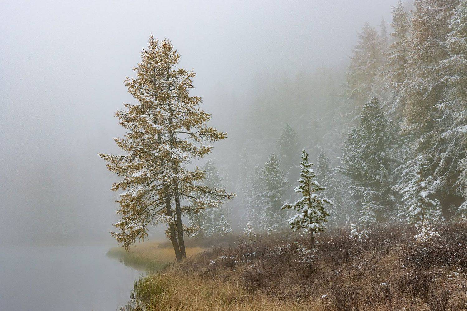 , Морозов Сергей