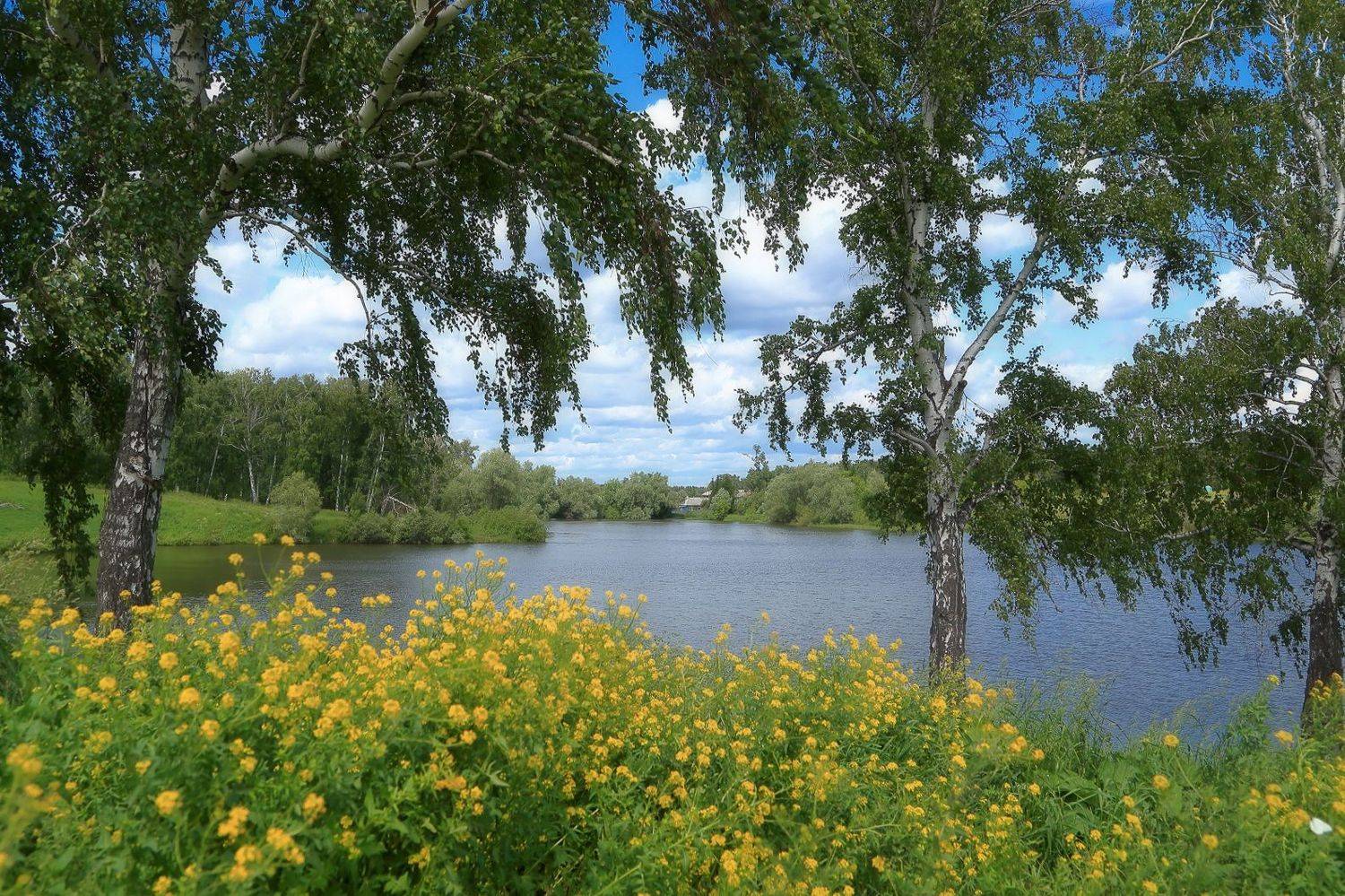 , Евгений Зинов