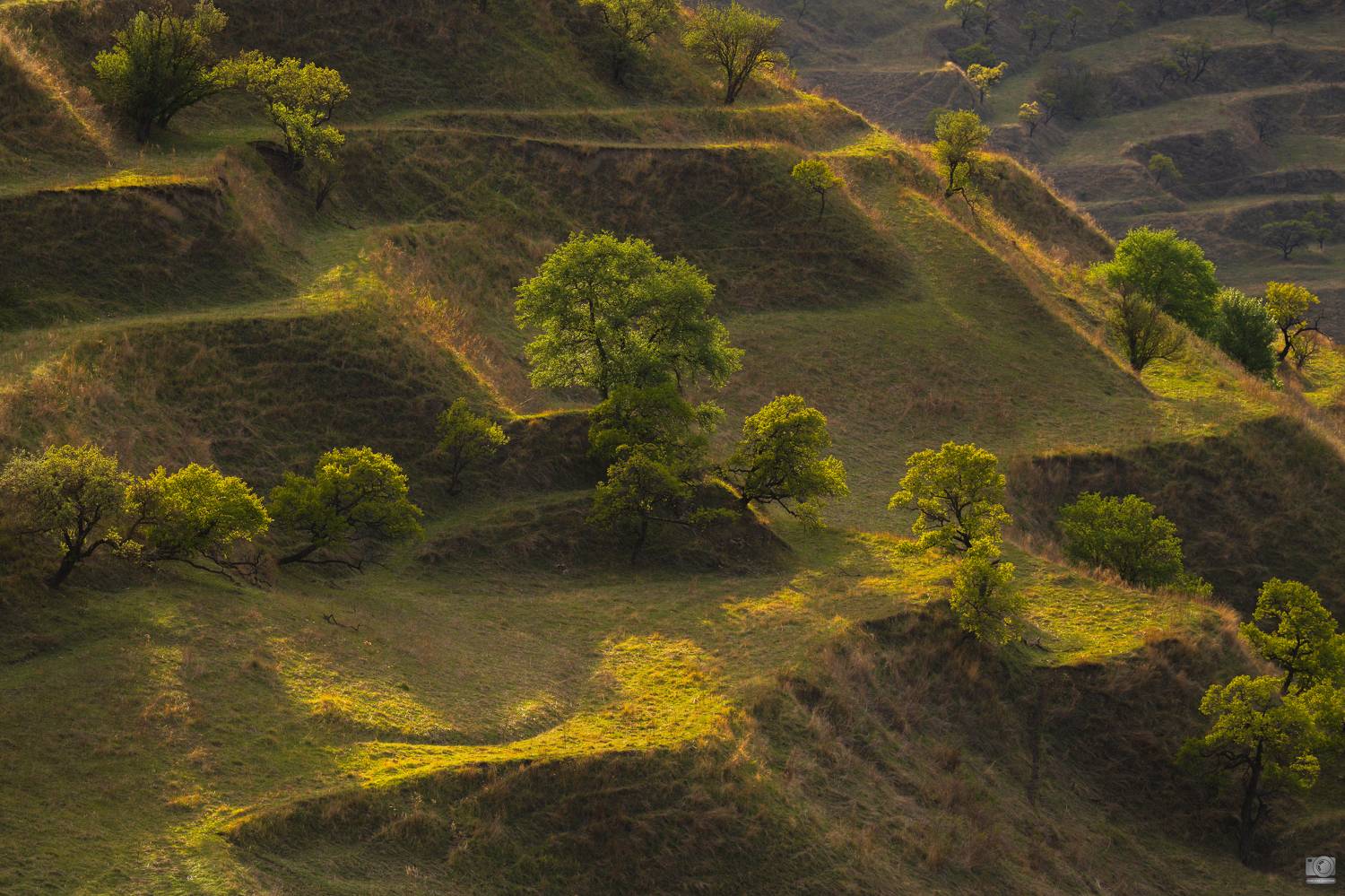 Дагестан, Ковалев Дмитрий