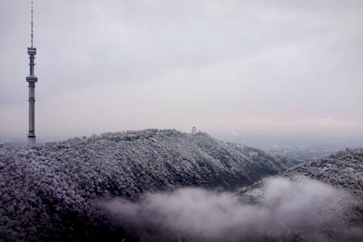 , Павел Швец