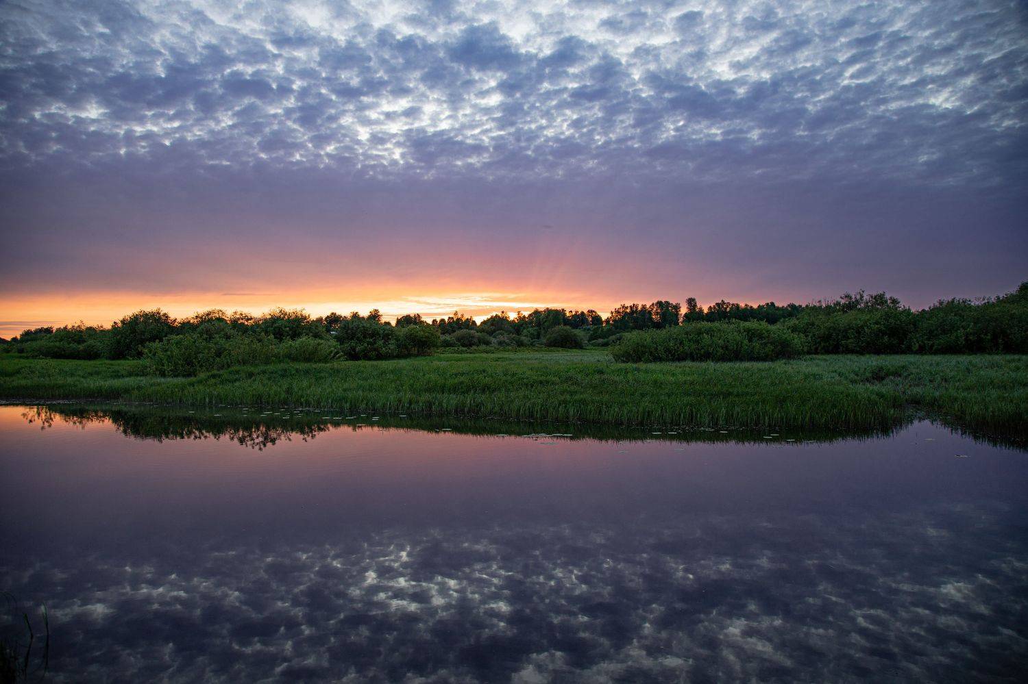 , Герасимова Елена