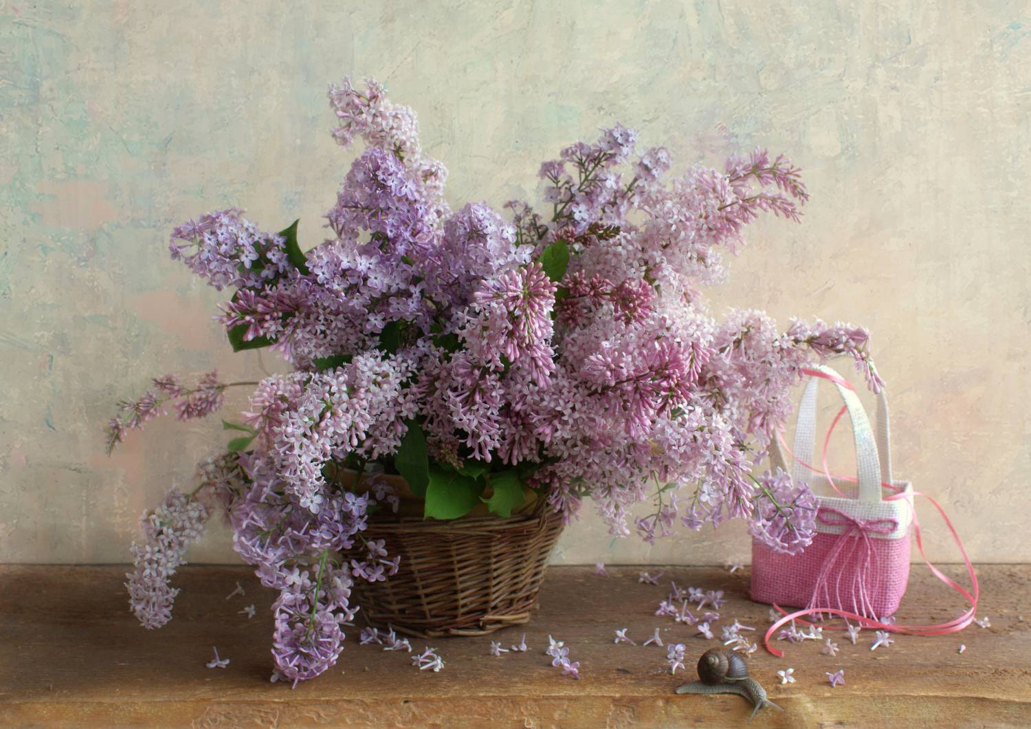 , Хохлова Наталья