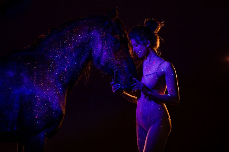 horse, equestrian, лошадь, девушка, girl  фото превью