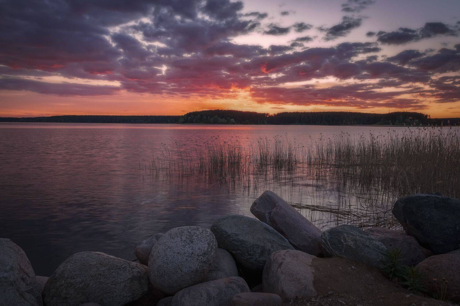 Тверская областьь, Елена Гусева