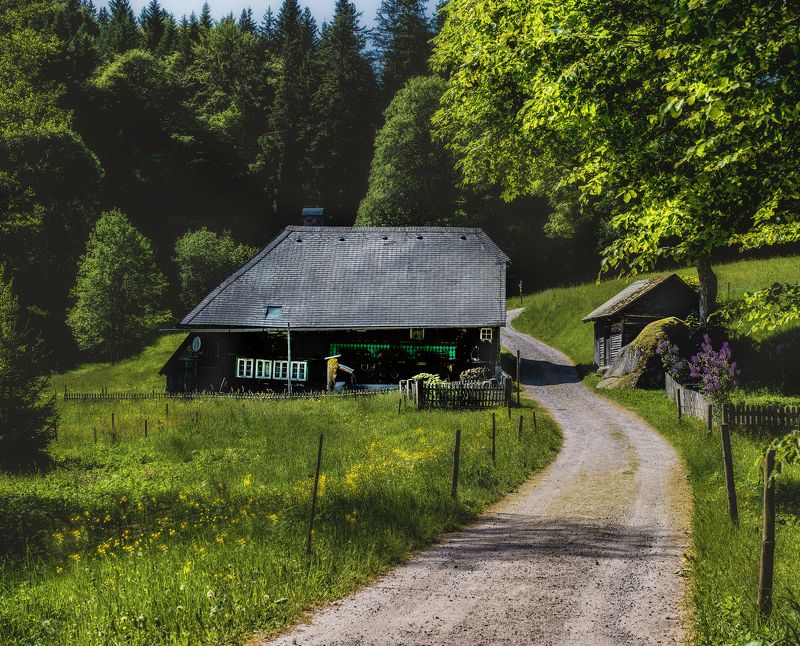 Где то в Черном лесу(Schwarzwald) фото превью