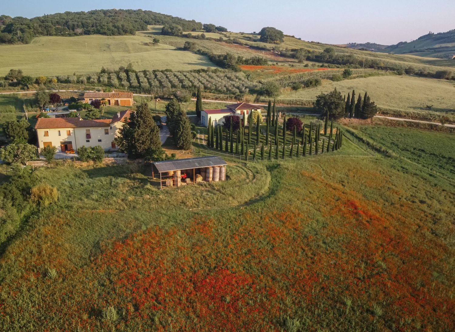 , Максимова Дария