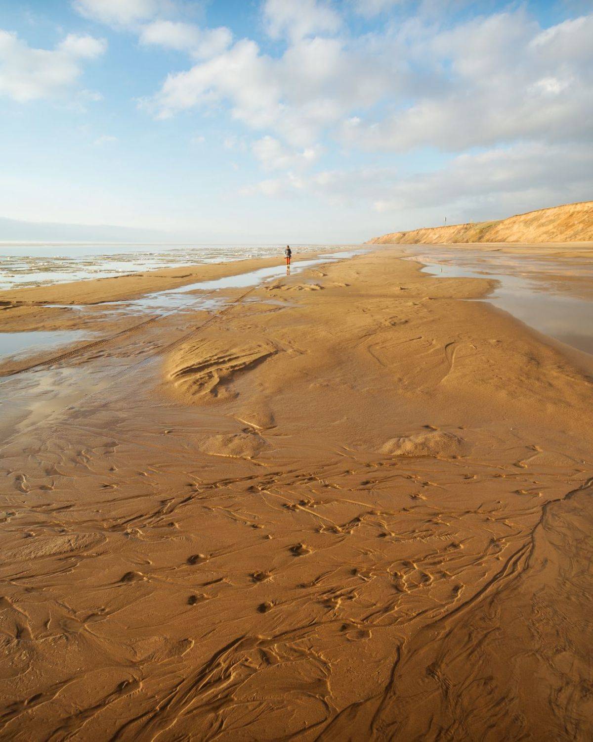 , Алексей Проняхин