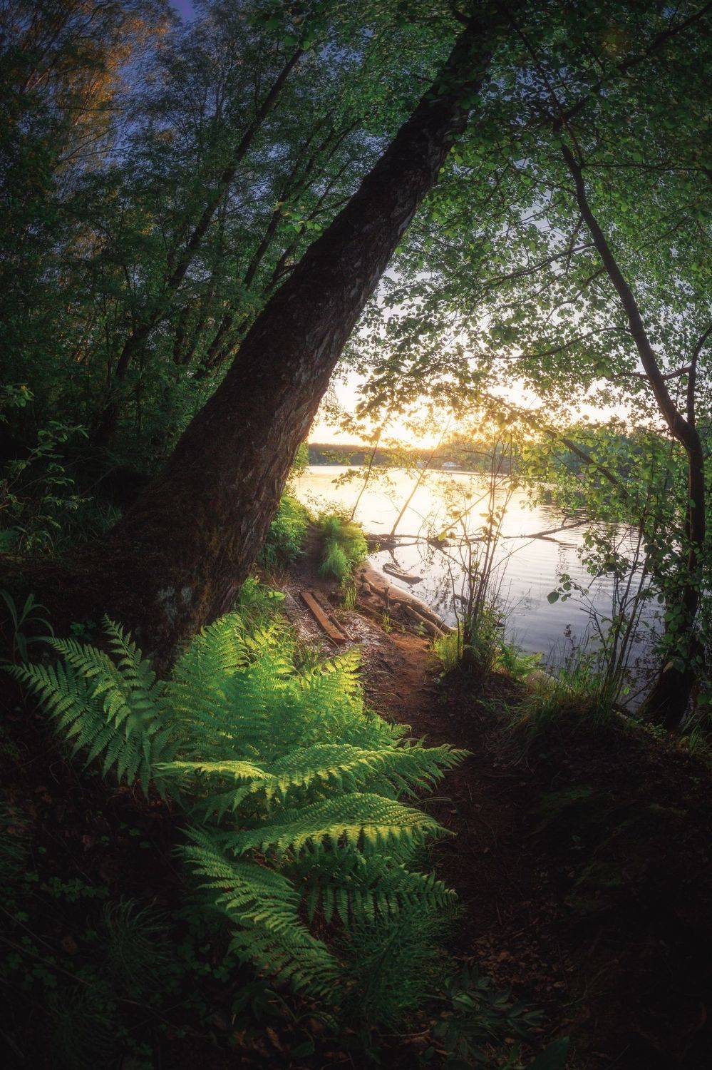 , Котов Андрей