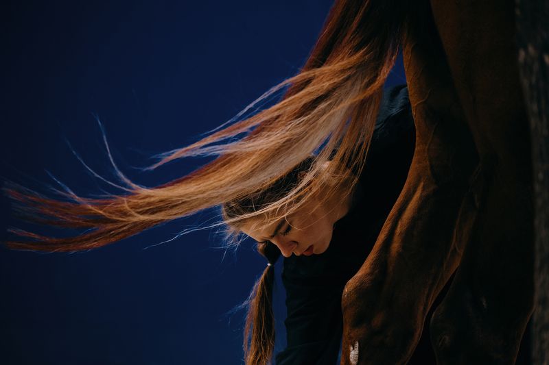 showjumping, конкур, верховая езда, лошадь, horse  фото превью