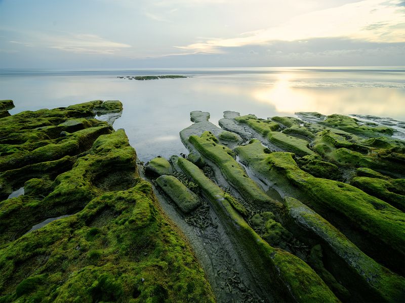 Sea reef фото превью