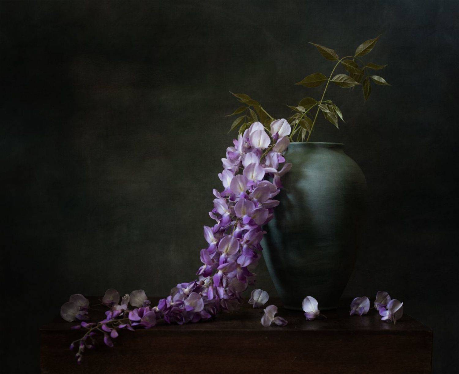 натюрморт, цветы, глициния, Оля