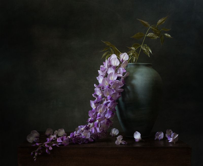 натюрморт, цветы, глициния Ветка глицинии фото превью