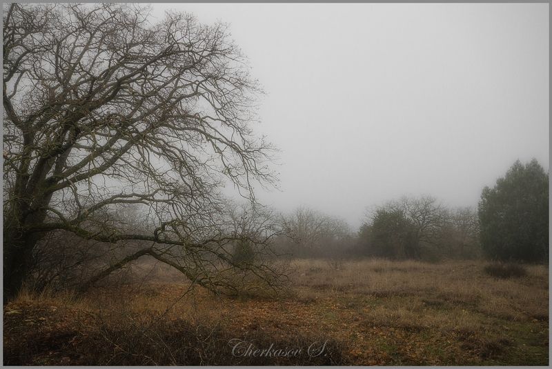 крым, туман, Январское фото превью