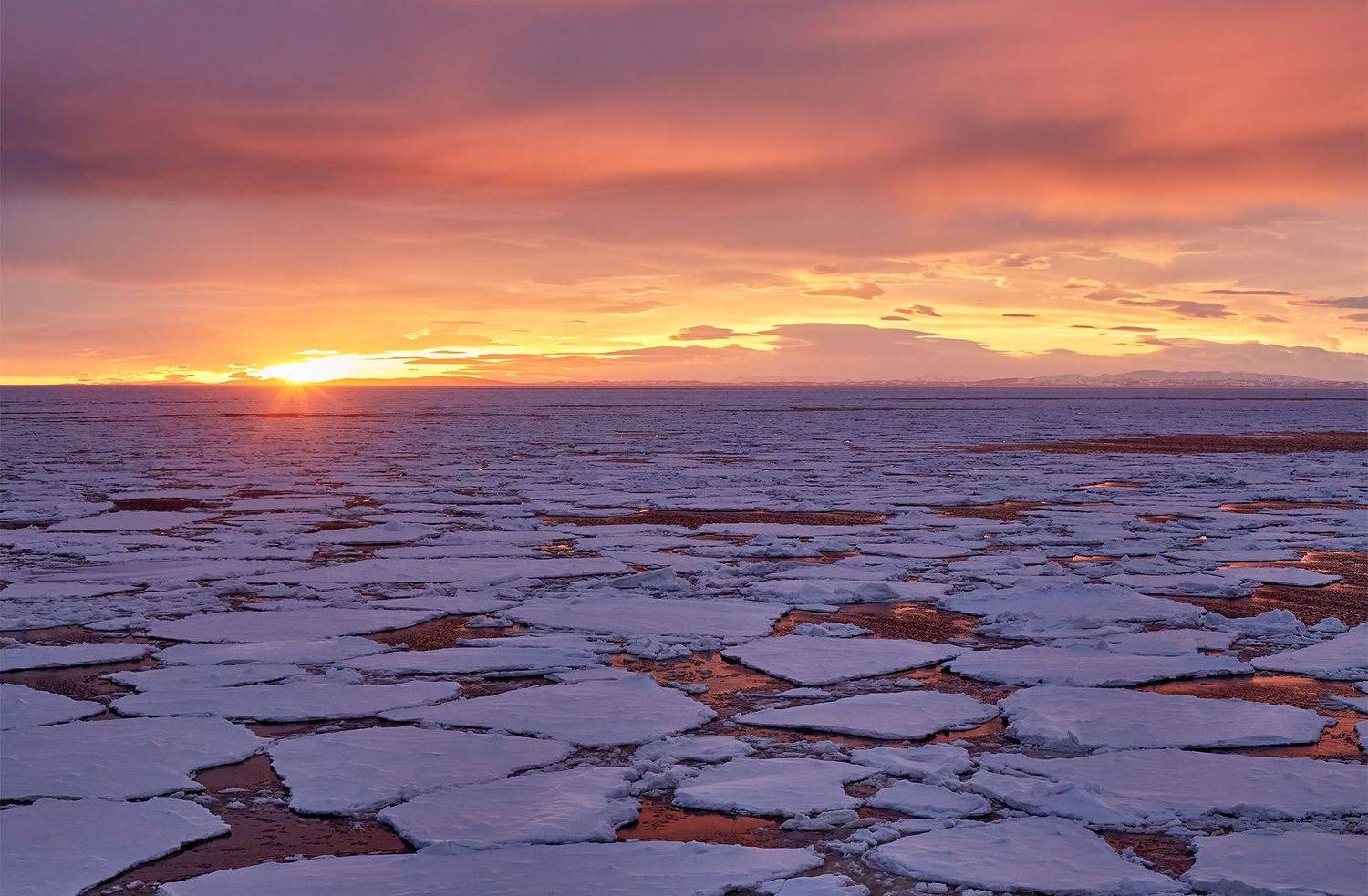 охотское море, льды, алый рассвет, утро, весна, Евгений Паршуков