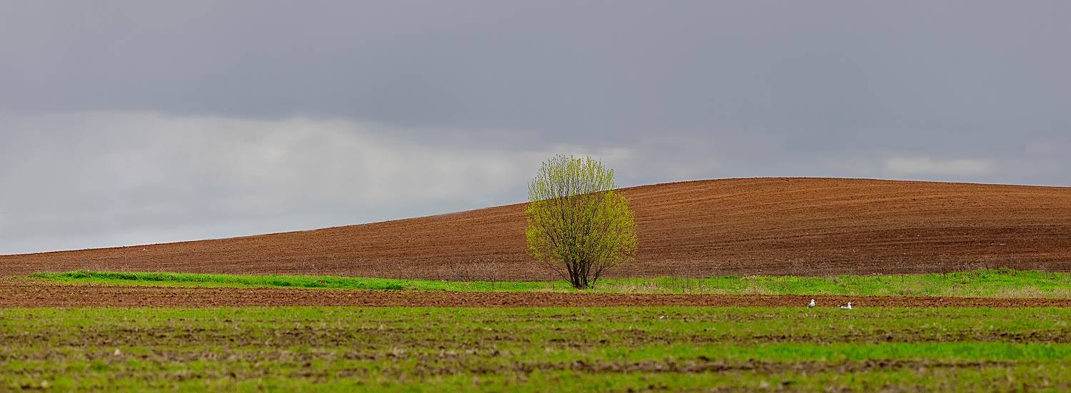 , Широких Александр